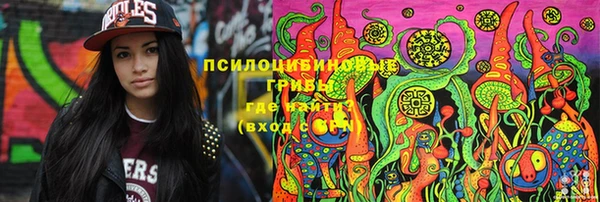 стаф Баксан